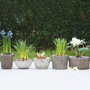 Originelle Gartengestaltung - Verwandeln Sie Beton in eine schöne