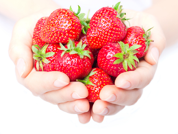 erdbeeren gesund erdbeeren nährwerte erdbeeren inhaltsstoffe erdbeeren kohlenhydrate