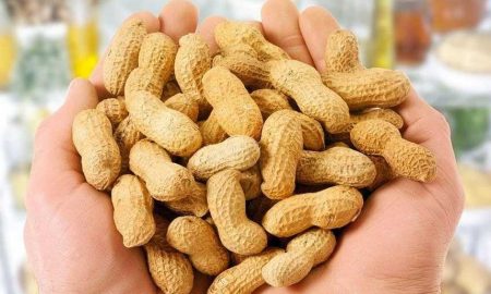 erdnüsse gesund nährwerte erdnüsse inhaltsstoffe