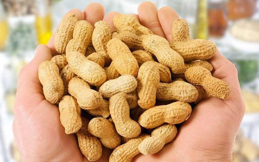 erdnüsse gesund nährwerte erdnüsse inhaltsstoffe