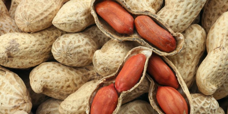 erdnüsse gesund erdnüsse nährwerte inhaltsstoffe erdnüsse konsum
