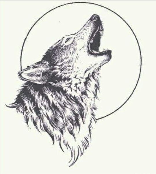 Wolf Tattoo Vorlage Sk66 Startupjobsfa