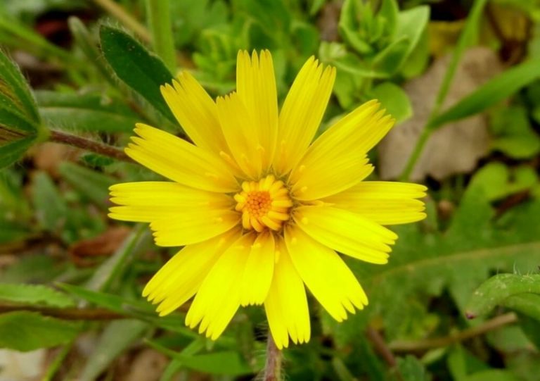 Kennen Sie die Bedeutung von Ostern? 10 besondere Tipps für die