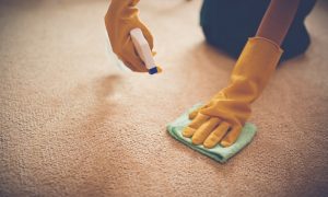 Fettflecken entfernen Teppich