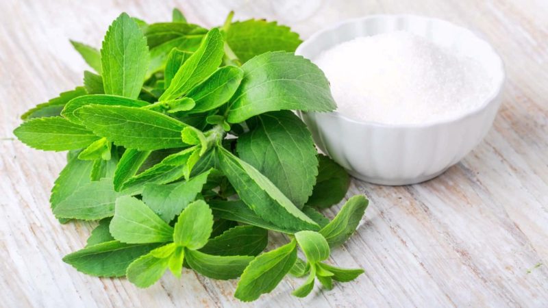 Stevia gesund Extrakt kalorienfrei