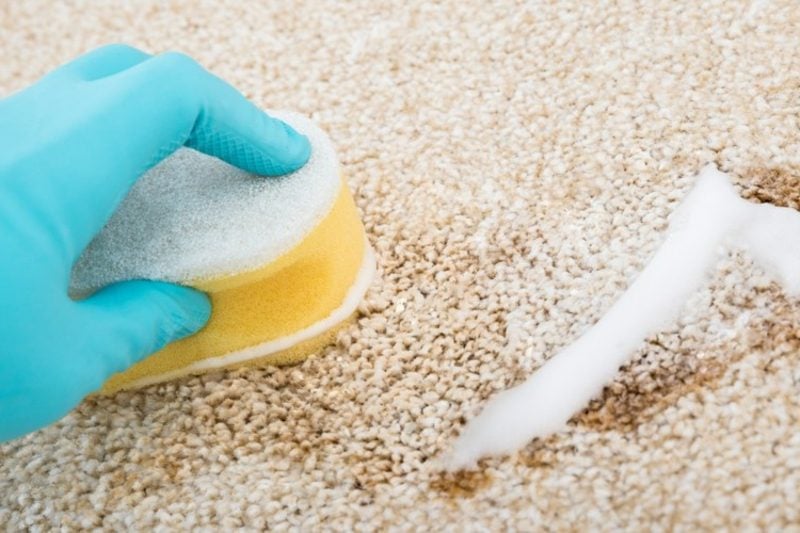 Teppich reinigen mit Hausmitteln Fettfleck entfernen