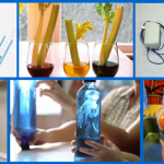 Gartentor Holz - rustikales vs. modernes Design - Garten - ZENIDEEN