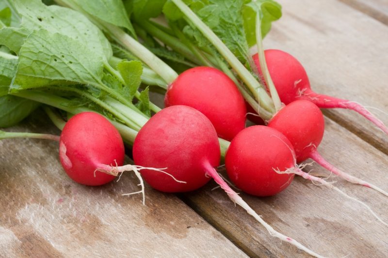 Radieschen Gesund 3 Herrliche Rezepte Fur Frische Salate