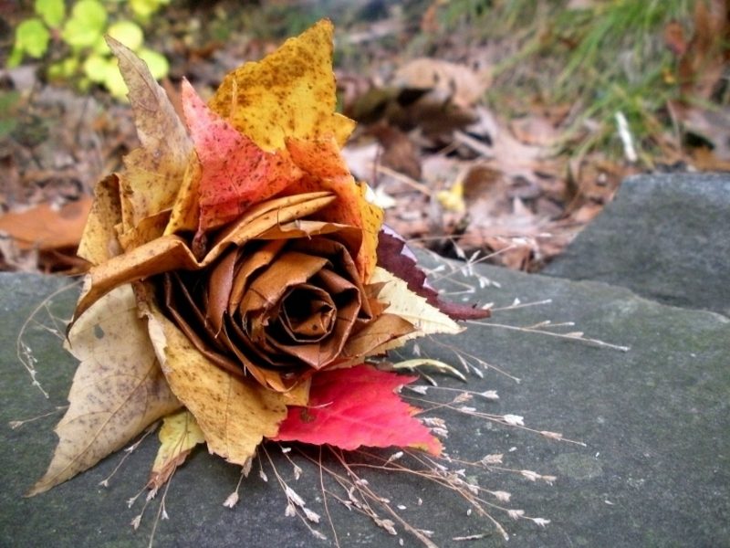 Herbstdeko Rose aus Herbstlaub selber machen