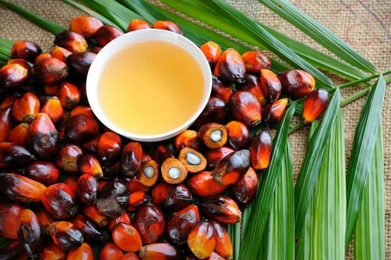 Lebensmittel ohne Palmöl