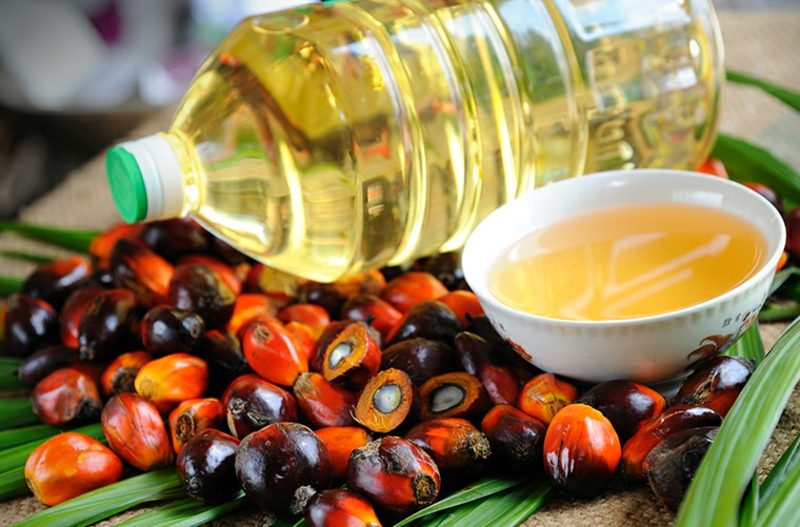 Palmöl Konsum Einfluss auf die Gesundheit