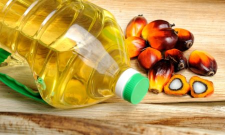 Palmöl gesundheitsschädlich