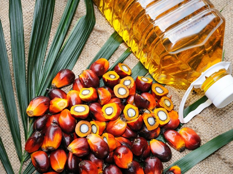 ist Palmöl gesund