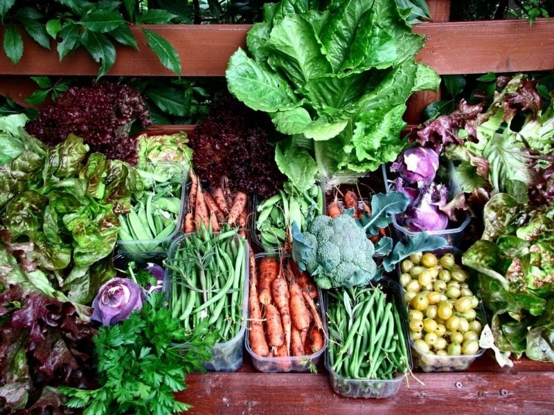 Gemüse anbauen auf dem Balkon passende Sorten