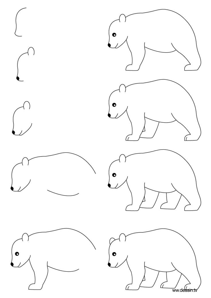 Zeichnen lernen Tiere zeichnen