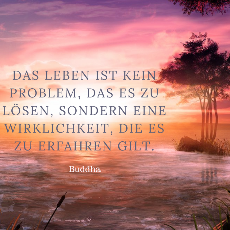 35++ Sprueche ueber dummheit , Inspirierende Zitate über das Leben und ...