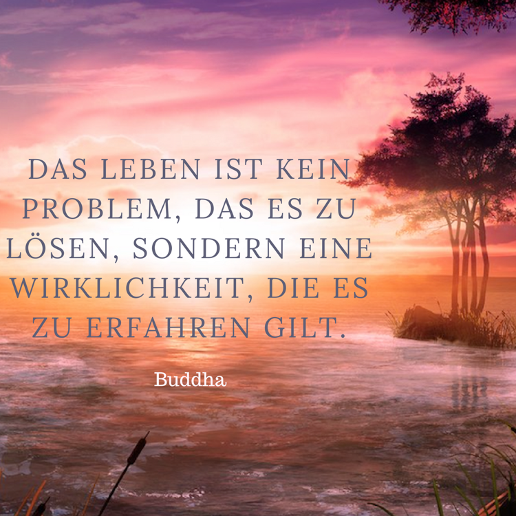 Zitate zum Nachdenken Buddha
