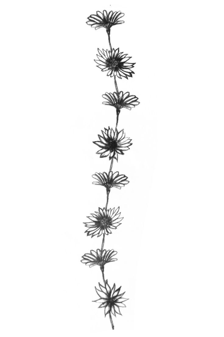 Blumen passend für ein Tattoo am Rücken, an der Wirbelsäule 