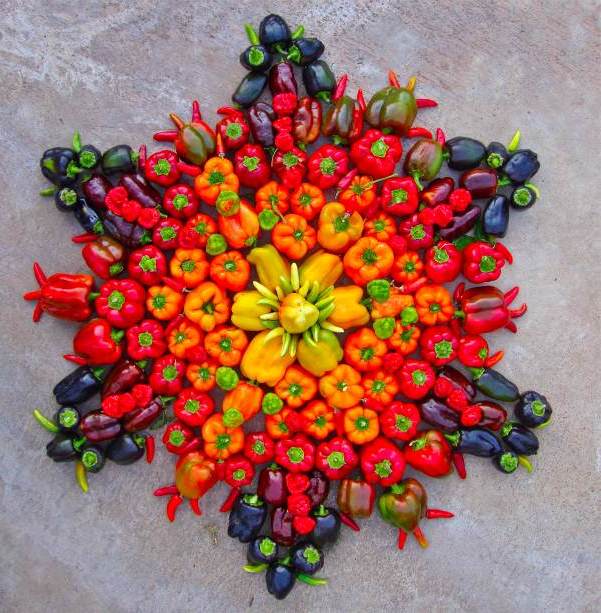 Gemüse Mandalakunst