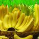 Nährwerte Banane-die gesunde Süßigkeit