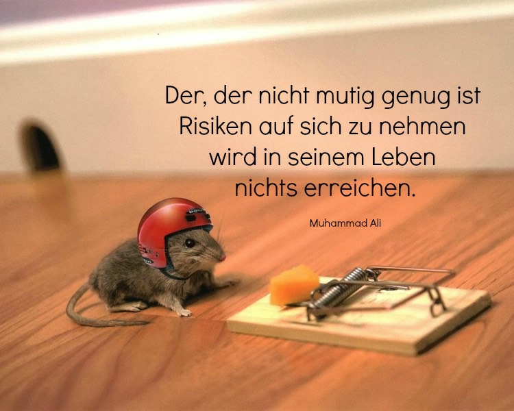 Lebensmotto Sprüche Motivation Risiken begehen