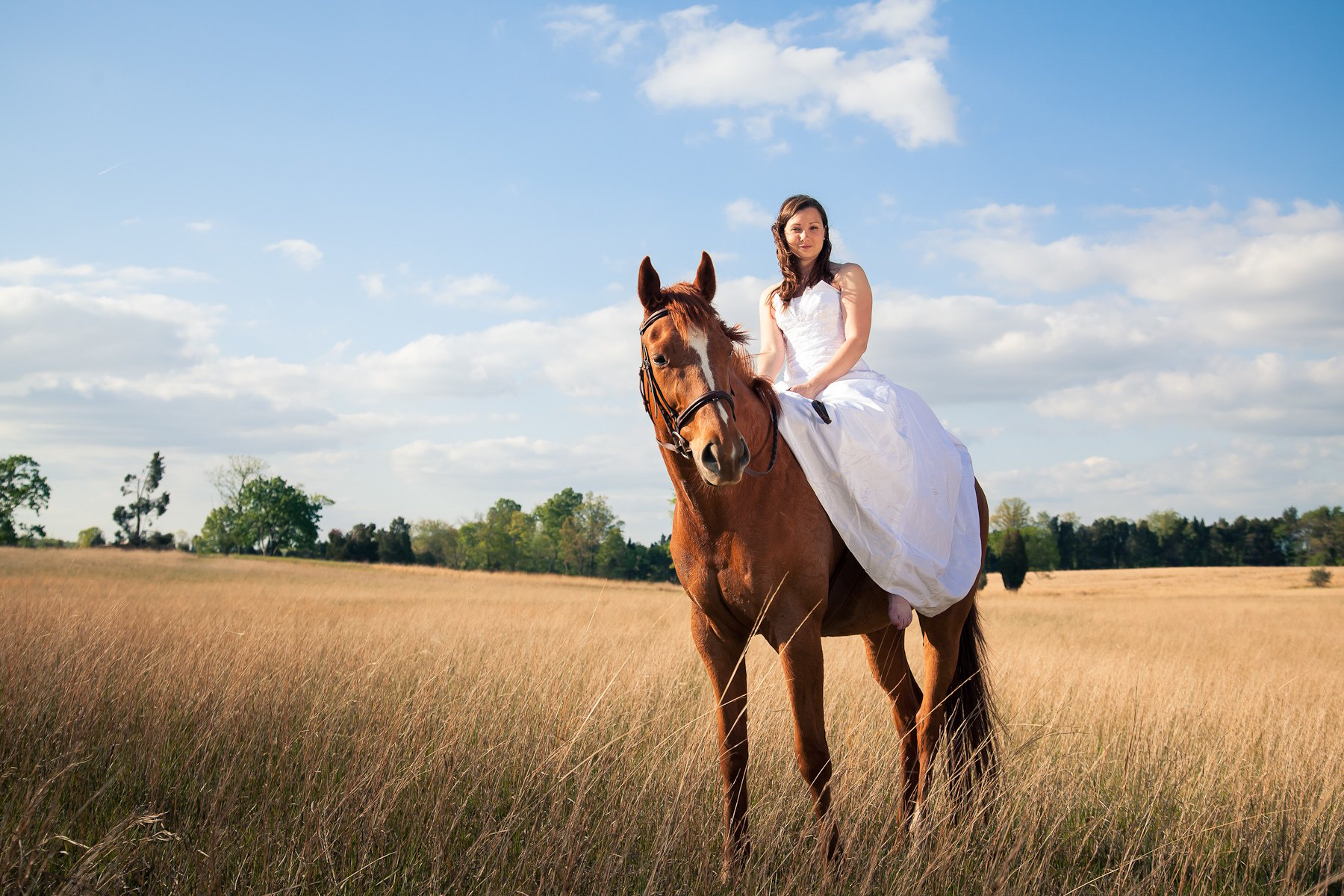 Ideen für schöne Pferdebilder mit Braut