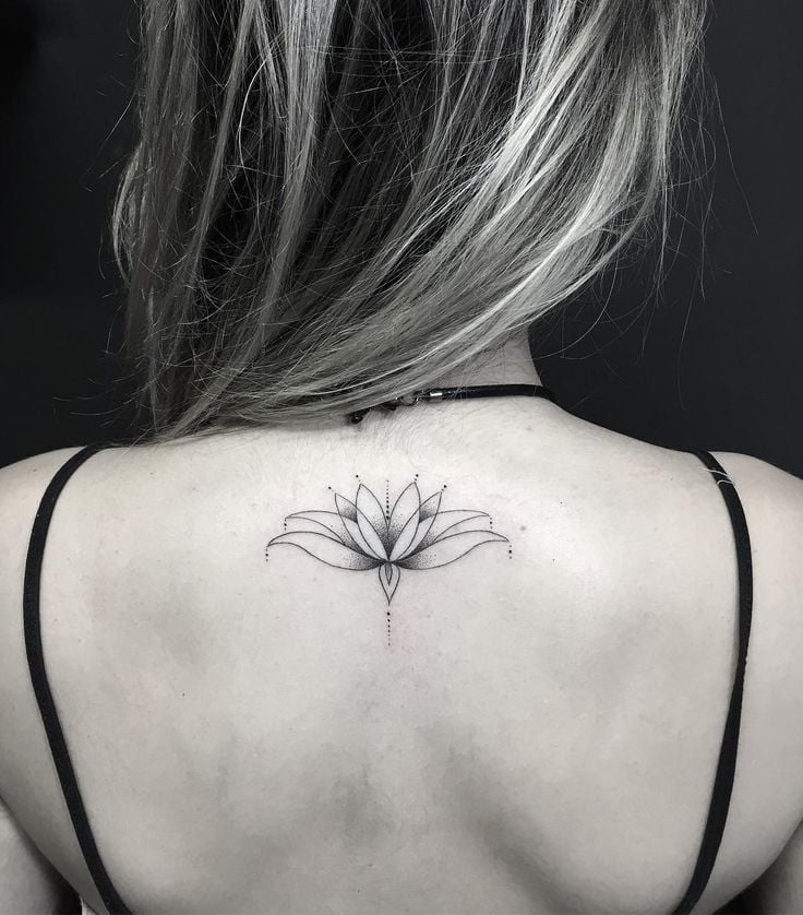Lotusblüte Tattoo Lotusblume Bedeutung