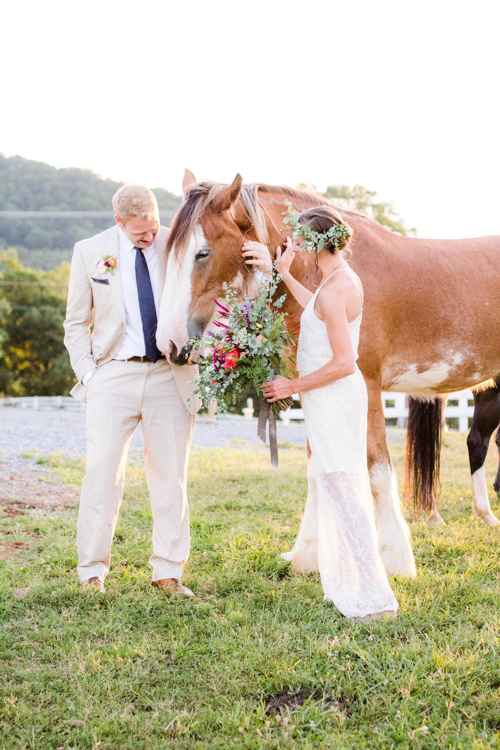 Hochzeit mit Pferde - schöne Pferdebilder