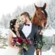 Pferdebilder - Idee für Hochzeitsfotos