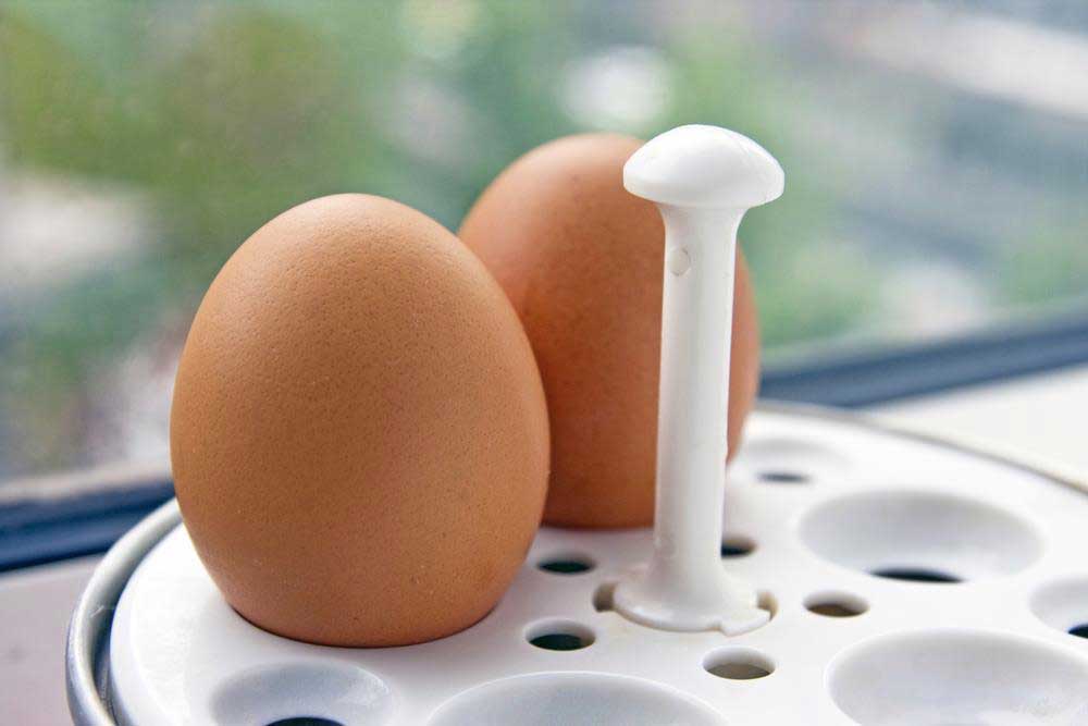 Eier kochen in Eierkocher 