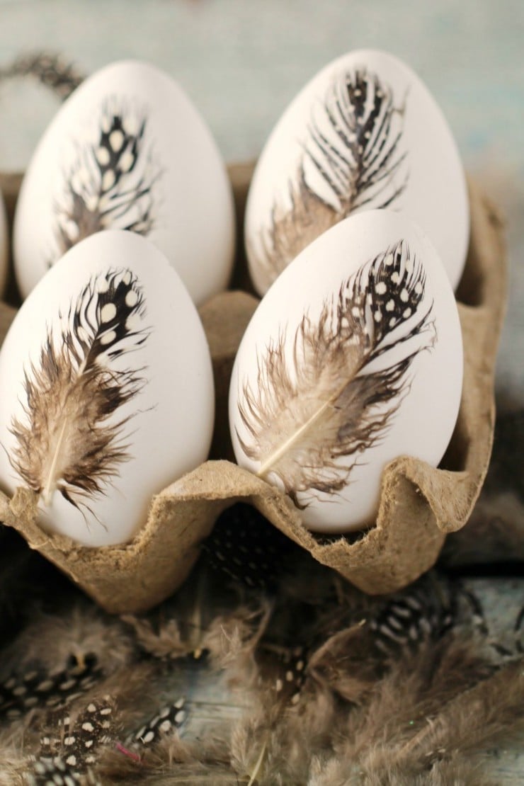 Die fünfte Technik für Ostereier ohne Farbe Färben - Dekorieren Sie Ihre Eier mit Vogelfedern