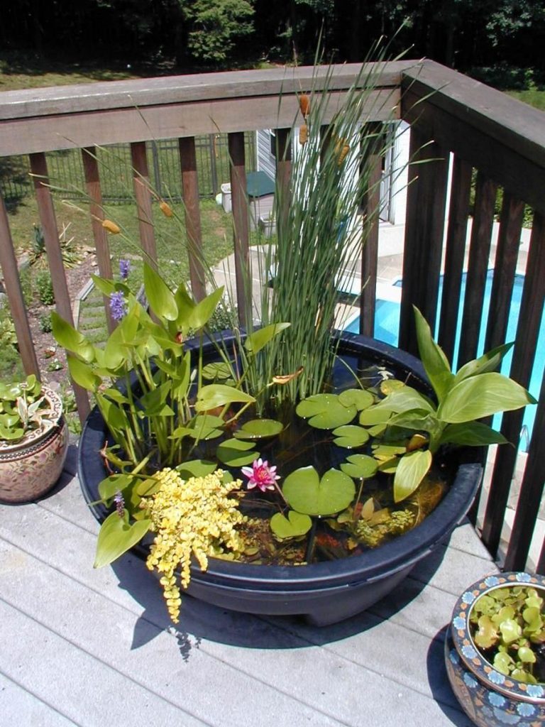 Fabelhafte Mini Balkon Teich Bilder