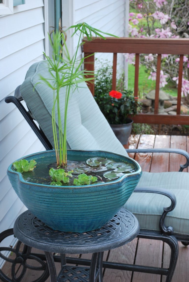 Balkon Ideen selber Machen Ein MiniTeich im Topf Balkon, DIY ZENIDEEN