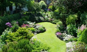 Gestaltung kleiner Garten Tipps Pflanzenauswahl