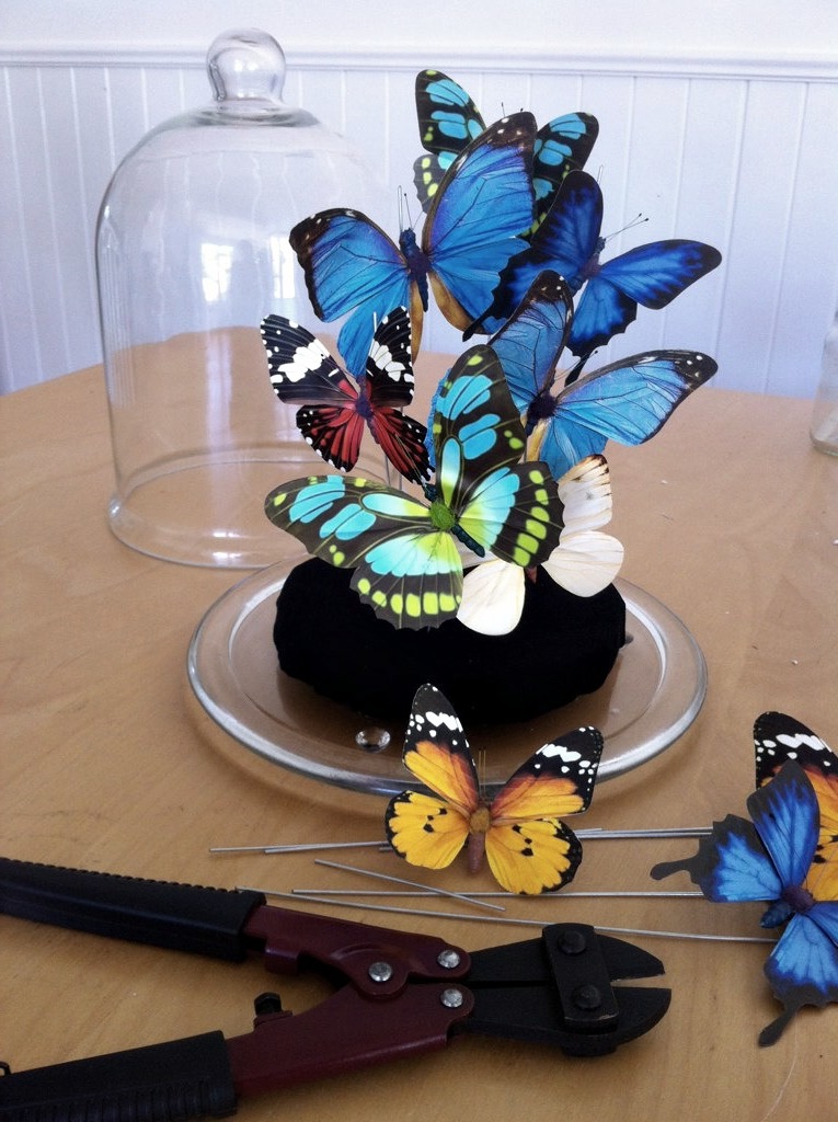 DIY Große Glasgefäß mit Deckel, gefüllt mit farbenfrohen Schmetterlingen