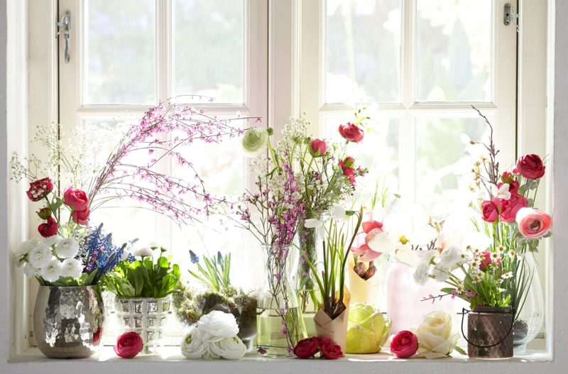 Fensterbank innen Blumen Pflegetipps