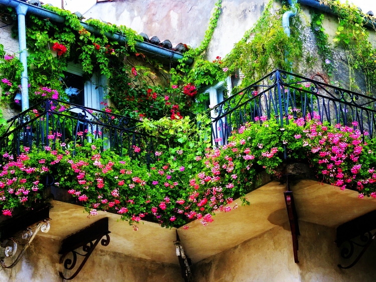 Balkon gestalten Blumenpracht