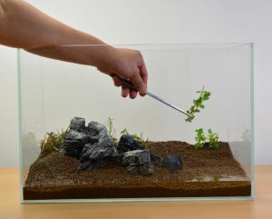 Aquarium Deko selber machen: inspirierende Ideen und Tipps