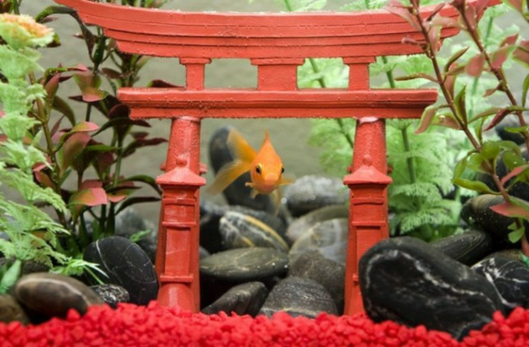 Aquarium Deko selber machen: inspirierende Ideen und Tipps