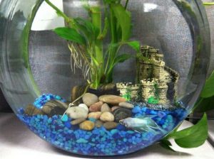 Aquarium Deko selber machen: inspirierende Ideen und Tipps