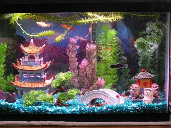 Aquarium Deko selber machen: inspirierende Ideen und Tipps