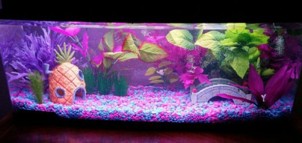 Aquarium Deko selber machen: inspirierende Ideen und Tipps