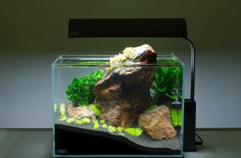 Aquarium Deko selber machen: inspirierende Ideen und Tipps