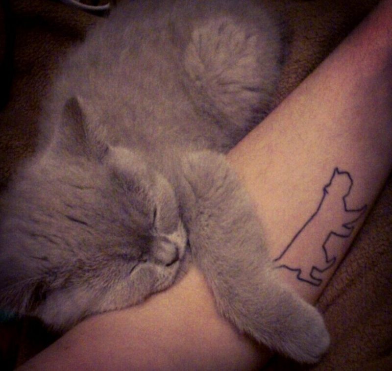 Tattoo Katze Silhouette Unterarm