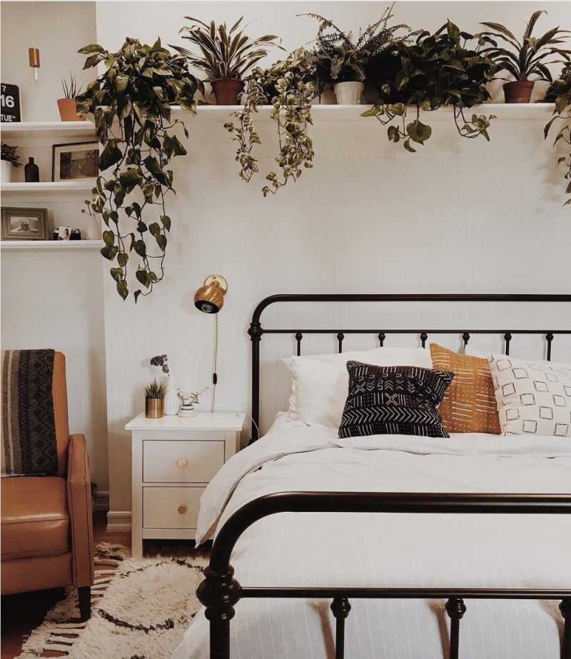 grüne Pflanzen im Schlafzimmer ist das eine gute Idee