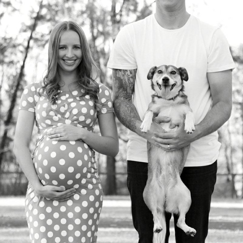 Schwangerschaftsfotos aufnehmen mit dem Haustier lustig