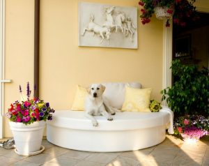 Rundes Sofa: tolle Ideen für die Gestaltung einer gemütlichen Sitzecke