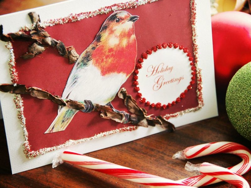 Weihnachtskarten selber basteln Vogel Zimtstangen