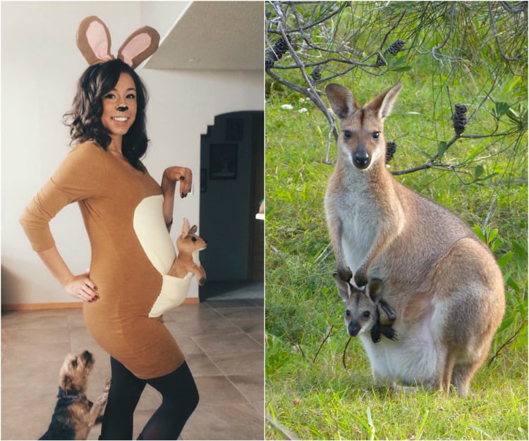 Kostüm für Schwangere niedlich Känguru