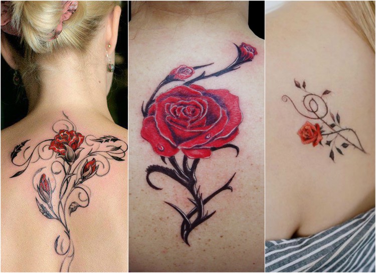 Tattoo Ranke: 20 tolle Designideen mit Rosenranke für Damen